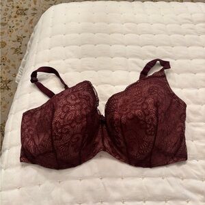 Cacique Lace Bra in Deep Burgundy